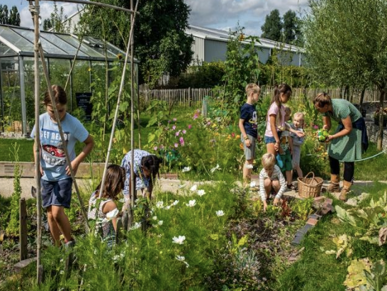 tuinclub
