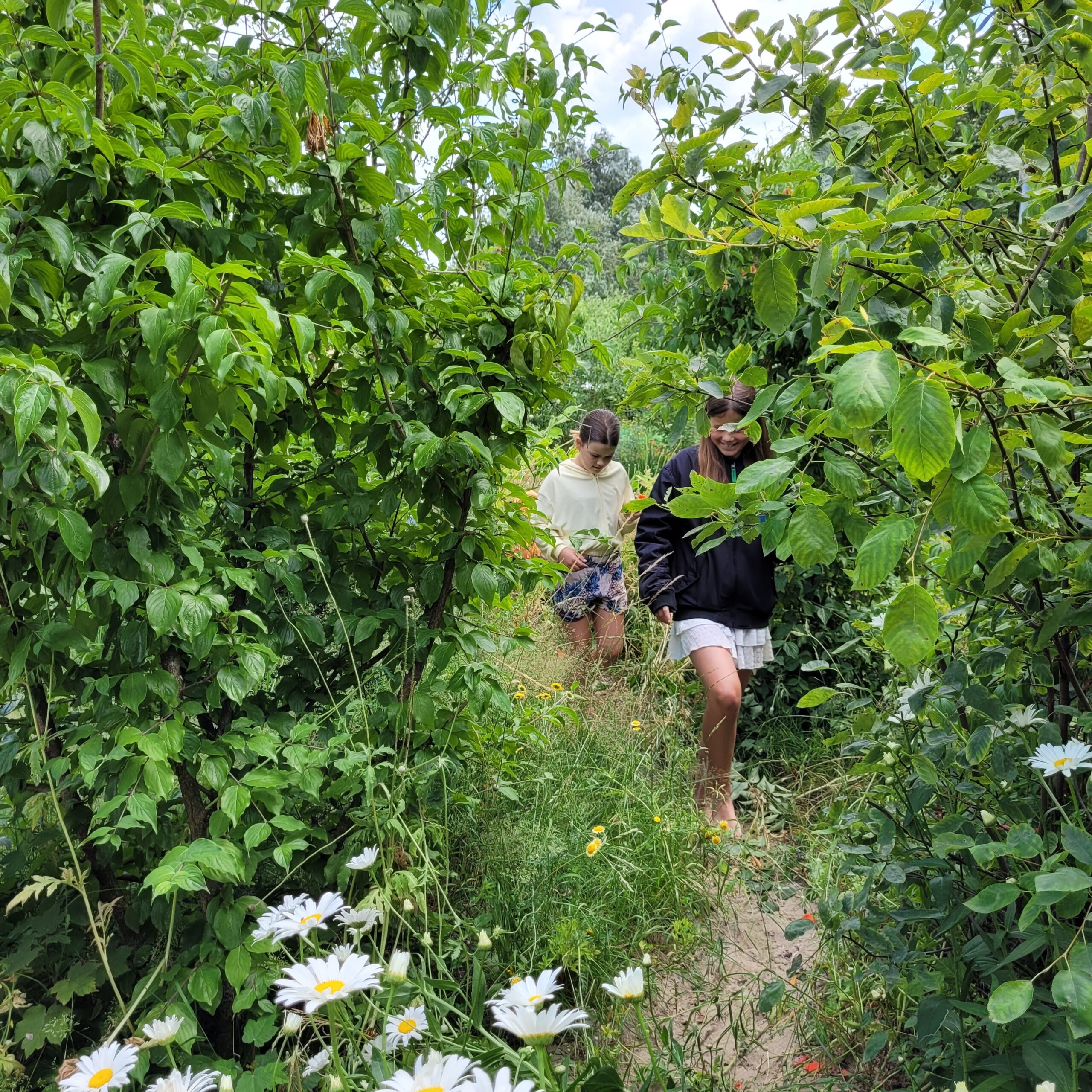 zomer-wisselworkshop